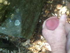 Wanking at the nudist beach in the bushes